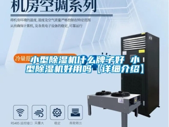 行業新聞小型除濕機什么牌子好 小型除濕機好用嗎【詳細介紹】