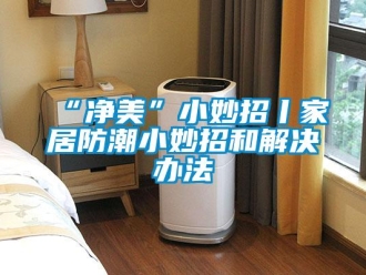 企業新聞“凈美”小妙招丨家居防潮小妙招和解決辦法