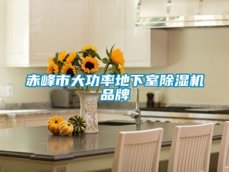 企業(yè)新聞赤峰市大功率地下室除濕機(jī)品牌