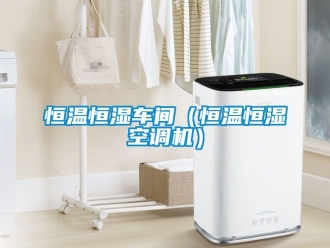 知識百科恒溫恒濕車間（恒溫恒濕空調機）