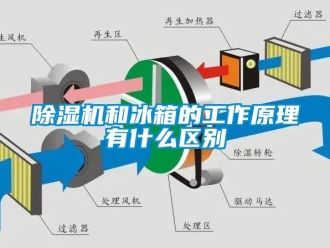 行業新聞除濕機和冰箱的工作原理有什么區別