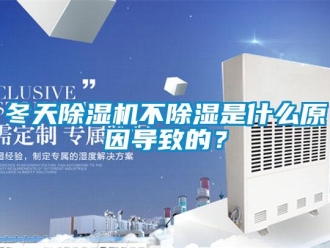 企業新聞冬天除濕機不除濕是什么原因導致的？