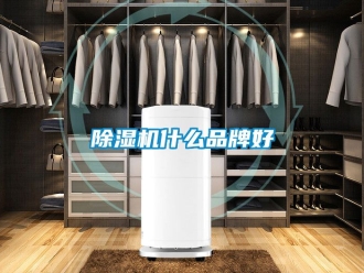 企業新聞除濕機什么品牌好