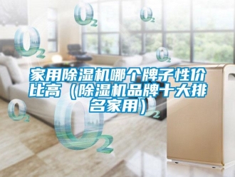 企業新聞家用除濕機哪個牌子性價比高（除濕機品牌十大排名家用）