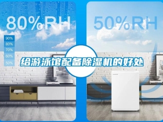 企業(yè)新聞給游泳館配備除濕機的好處