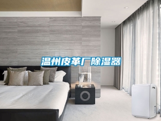 行業(yè)新聞溫州皮革廠除濕器