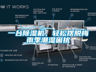 行業新聞一臺除濕機，輕松擺脫梅雨季潮濕困擾