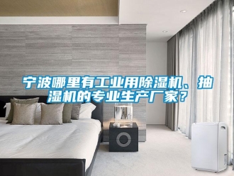 行業新聞寧波哪里有工業用除濕機、抽濕機的專業生產廠家？