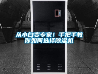 行業新聞從小白變專家！手把手教你如何選擇除濕機
