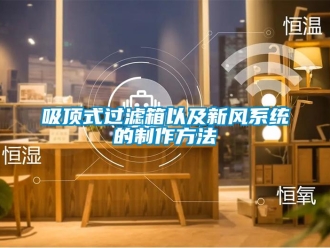 企業新聞吸頂式過濾箱以及新風系統的制作方法