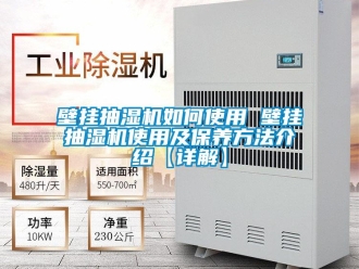 企業(yè)新聞壁掛抽濕機如何使用 壁掛抽濕機使用及保養(yǎng)方法介紹【詳解】