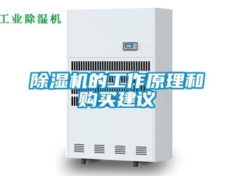企業(yè)新聞除濕機的工作原理和購買建議