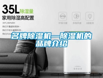 企業(yè)新聞名牌除濕機(jī)—除濕機(jī)的品牌介紹
