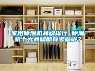 企業(yè)新聞家用除濕機品牌排行 除濕機十大品牌都有哪些呢？