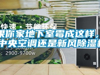 行業新聞如果你家地下室霉成這樣，選裝中央空調還是新風除濕機？