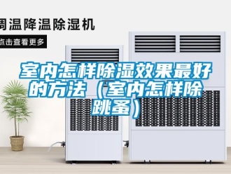 企業新聞室內怎樣除濕效果最好的方法（室內怎樣除跳蚤）