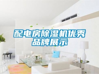 企業(yè)新聞配電房除濕機優(yōu)秀品牌展示