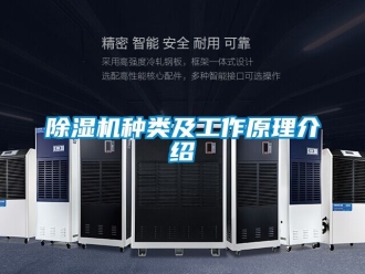 行業新聞除濕機種類及工作原理介紹