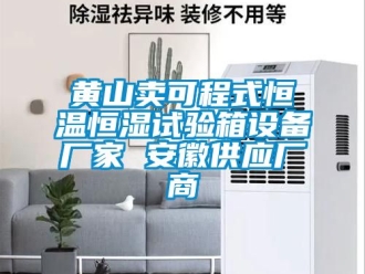 知識百科黃山賣可程式恒溫恒濕試驗箱設備廠家 安徽供應廠商