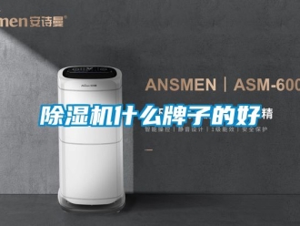 行業新聞除濕機什么牌子的好