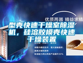 行業新聞型殼快速干燥室除濕機，硅溶膠模殼快速干燥裝置