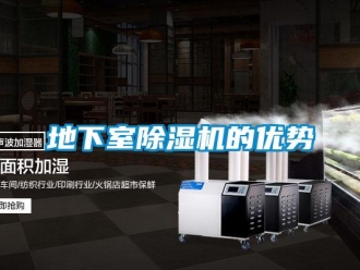 行業新聞地下室除濕機的優勢