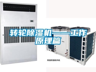 知識(shí)百科轉(zhuǎn)輪除濕機(jī)——工作原理篇