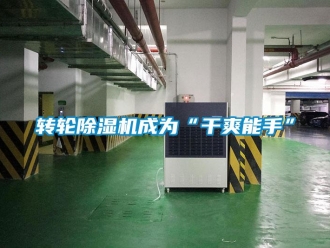 知識百科轉輪除濕機成為“干爽能手”