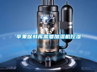 行業新聞蘋果保鮮庫需要加濕機控濕