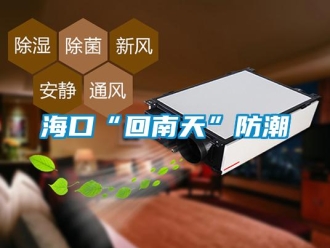 行業(yè)新聞海口“回南天”防潮