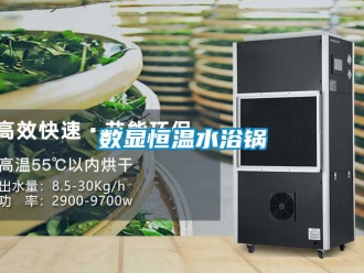 知識百科數(shù)顯恒溫水浴鍋