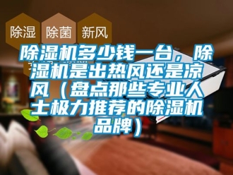 企業新聞除濕機多少錢一臺，除濕機是出熱風還是涼風（盤點那些專業人士極力推薦的除濕機品牌）