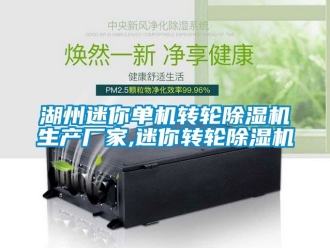 企業(yè)新聞湖州迷你單機(jī)轉(zhuǎn)輪除濕機(jī)生產(chǎn)廠家,迷你轉(zhuǎn)輪除濕機(jī)