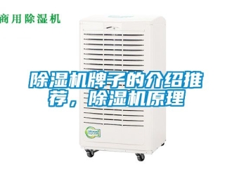 行業(yè)新聞除濕機(jī)牌子的介紹推薦，除濕機(jī)原理