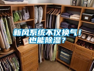 行業新聞新風系統不僅換氣！也能除濕？