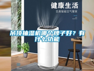 企業(yè)新聞吊頂抽濕機(jī)哪個(gè)牌子好？有什么功能