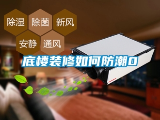 企業新聞底樓裝修如何防潮0