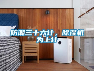 企業(yè)新聞防潮三十六計，除濕機為上計