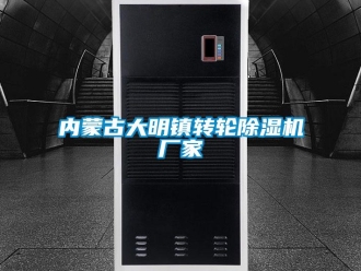 企業(yè)新聞內蒙古大明鎮(zhèn)轉輪除濕機廠家