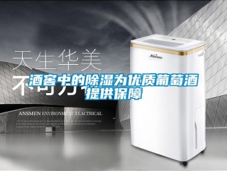 行業(yè)新聞酒窖中的除濕為優(yōu)質(zhì)葡萄酒提供保障