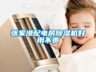 行業新聞張家港配電房除濕機好用不貴