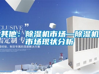 行業新聞其他：除濕機市場—除濕機市場現狀分析