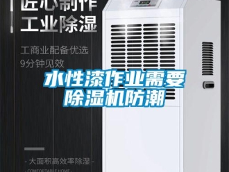 知識百科水性漆作業(yè)需要除濕機防潮