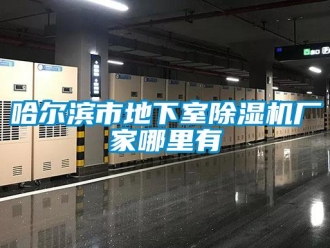 企業新聞哈爾濱市地下室除濕機廠家哪里有