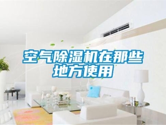 行業(yè)新聞空氣除濕機(jī)在那些地方使用
