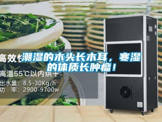 企業(yè)新聞潮濕的木頭長(zhǎng)木耳，寒濕的體質(zhì)長(zhǎng)腫瘤！