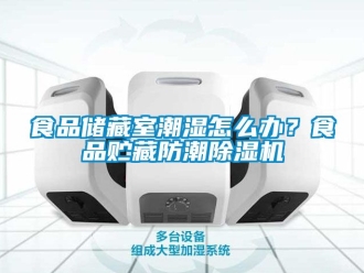 行業(yè)新聞食品儲(chǔ)藏室潮濕怎么辦？食品貯藏防潮除濕機(jī)