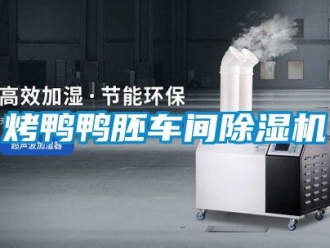 企業(yè)新聞烤鴨鴨胚車間除濕機