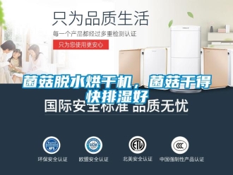 行業(yè)新聞菌菇脫水烘干機，菌菇干得快排濕好