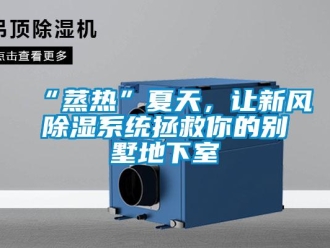 企業新聞“蒸熱”夏天，讓新風除濕系統拯救你的別墅地下室